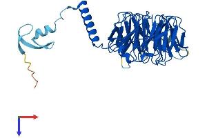 AlphaFold protein structure predicition of Mouse Recombinant Gnb5 Protein, UniprotID P62881