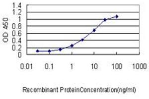 anti-Calmodulin 2 (phosphorylase Kinase, Delta) (Calm2) (AA 1-149) antibody