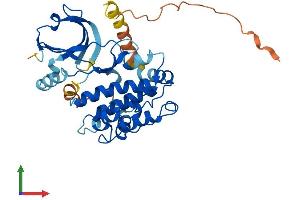 AlphaFold protein structure predicition of Human Recombinant PNCK Protein, UniprotID Q6P2M8