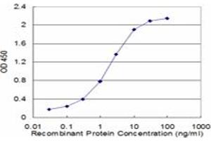 Detection limit for recombinant GST tagged FAS is approximately 0. (FAS anticorps  (AA 20-119))