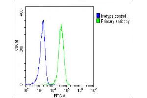 Overlay histogram showing K562 cells stained with C(green line). (EPOR anticorps  (C-Term))