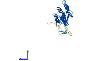 AlphaFold protein structure predicition of Human Recombinant FCF1 Protein, UniprotID Q9Y324