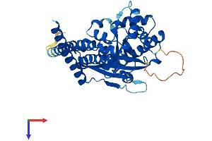 AlphaFold protein structure predicition of Mouse Recombinant Lpgat1 Protein, UniprotID Q91YX5