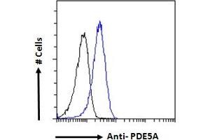 ABIN190778 Flow cytometric analysis of paraformaldehyde fixed HEK293 cells (blue line), permeabilized with 0.