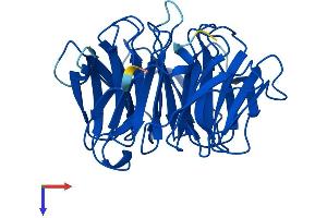 AlphaFold protein structure predicition of Mouse Recombinant Pex7 Protein, UniprotID P97865
