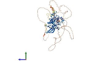 AlphaFold protein structure predicition of Human Recombinant NUAK1 Protein, UniprotID O60285