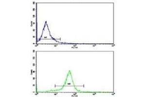 Flow cytometric analysis of HeLa cells using IkB alpha antibody (bottom histogram) compared to a negative control (top histogram).