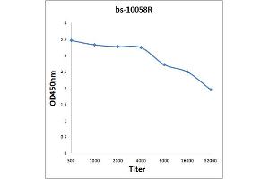 Antigen: 2 µg/100 µL  Primary: Antiserum, 1:500, 1:1000, 1:2000, 1:4000, 1:8000, 1:16000, 1:32000;  Secondary: HRP conjugated Rabbit Anti-Goat IgG at 1: 5000;  TMB staining Read the data in Microplate Reader by 450nm.