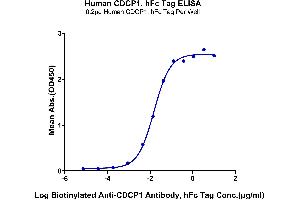 Immobilized Human CDCP1, hFc Tag at 2 μg/mL (100 μL/Well) on the plate.