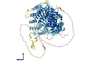 AlphaFold protein structure predicition of Mouse Recombinant Taf2 Protein, UniprotID Q8C176