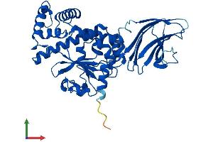 AlphaFold protein structure predicition of Human Recombinant SEC14L4 Protein, UniprotID Q9UDX3