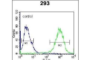 STX16 Antibody (C-term) (ABIN656113 and ABIN2845452) flow cytometric analysis of 293 cells (right histogram) compared to a negative control cell (left histogram).