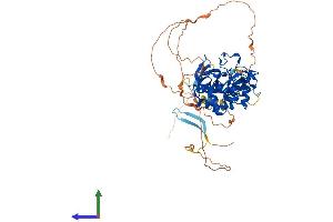 AlphaFold protein structure predicition of Human Recombinant PHF1 Protein, UniprotID O43189