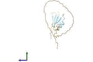 AlphaFold protein structure predicition of Human Recombinant SRSF3 Protein, UniprotID P84103