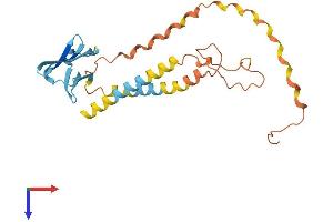AlphaFold protein structure predicition of Mouse Recombinant Odf1 Protein, UniprotID Q61999