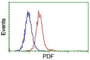 Image no. 3 for anti-Growth Differentiation Factor 15 (GDF15) antibody (ABIN1500100) (GDF15 anticorps)