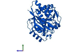 AlphaFold protein structure predicition of Human Recombinant MEMO1 Protein, UniprotID Q9Y316