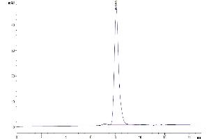 The purity of Human ROBO4 is greater than 95 % as determined by SEC-HPLC.