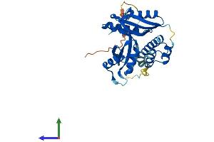AlphaFold protein structure predicition of Human Recombinant TACO1 Protein, UniprotID Q9BSH4