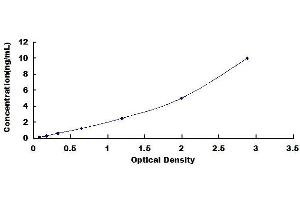 Typical standard curve