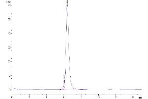 The purity of Cynomolgus PD-L1 is greater than 95 % as determined by SEC-HPLC.