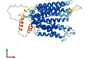 AlphaFold protein structure predicition of Mouse Recombinant Slc29a3 Protein, UniprotID Q99P65