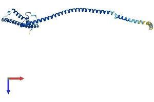 AlphaFold protein structure predicition of Mouse Recombinant Haus1 Protein, UniprotID Q8BHX1