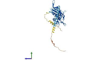AlphaFold protein structure predicition of Human Recombinant KCNJ8 Protein, UniprotID Q15842