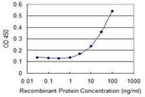 Detection limit for recombinant GST tagged ZNF18 is 1 ng/ml as a capture antibody. (ZNF18 anticorps  (AA 282-380))
