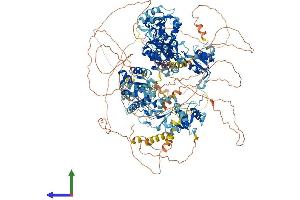 AlphaFold protein structure predicition of Human Recombinant TOPBP1 Protein, UniprotID Q92547