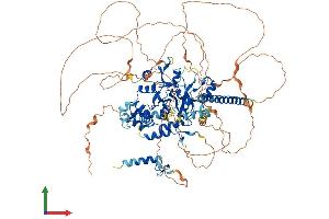 AlphaFold protein structure predicition of Mouse Recombinant Otud7a Protein, UniprotID Q8R554