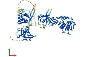 AlphaFold protein structure predicition of Human Recombinant POT1 Protein, UniprotID Q9NUX5