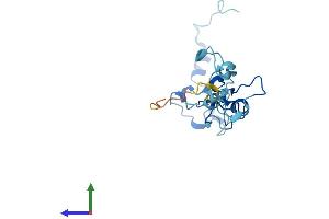 AlphaFold protein structure predicition of Human Recombinant CPSF4L Protein, UniprotID A6NMK7