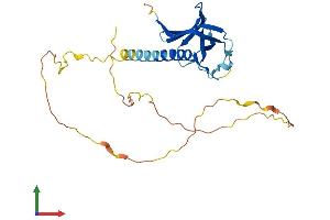 AlphaFold protein structure predicition of Mouse Recombinant Necap1 Protein, UniprotID Q9CR95
