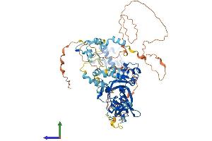 AlphaFold protein structure predicition of Human Recombinant MTA1 Protein, UniprotID Q13330
