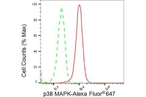Flow cytometric analysis of p38 MAPK expression in HT- cells using p38 MAPK antibody (ABIN7799447), 1:2,000). (Recombinant MAPK14 anticorps)