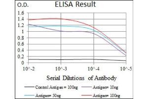 Red: Control Antigen (100ng) ; Purple: Antigen (10ng) ; Green: Antigen (50ng) ; Blue: Antigen (100ng). (Somatostatin anticorps  (AA 1-116))