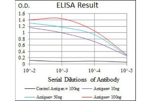 ELISA image for anti-BPI Fold Containing Family A, Member 2 (BPIFA2) antibody (ABIN1847198) (BPIFA2 anticorps)