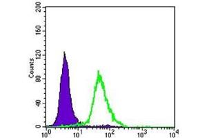 FC analysis of Hela cells using CRTC2 antibody (green) and negative control (purple). (CRTC2 anticorps)