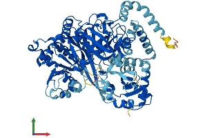 AlphaFold protein structure predicition of Human Recombinant ACSL4 Protein, UniprotID O60488