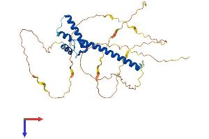 AlphaFold protein structure predicition of Human Recombinant NEUROD4 Protein, UniprotID Q9HD90
