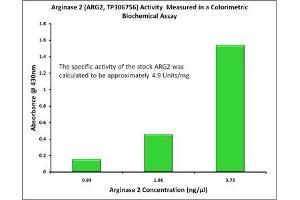 Bioactivity measured with Activity Assay