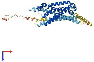 AlphaFold protein structure predicition of Mouse Recombinant Ghsr Protein, UniprotID Q99P50
