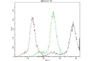 Flow Cytometry analysis of U937 cells using anti-PPT1 antibody (ABIN3043357).