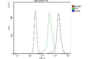 Flow Cytometry analysis of K562 cells using anti-PDIA6 antibody (ABIN7600553). (PDIA6 anticorps  (AA 20-440))