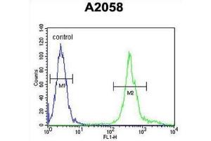 Flow Cytometry (FACS) image for anti-Mitochondrial Ribosomal Protein S24 (MRPS24) antibody (ABIN2995673)