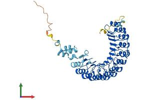 AlphaFold protein structure predicition of Human Recombinant FBXL20 Protein, UniprotID Q96IG2