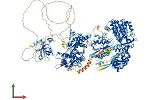 AlphaFold protein structure predicition of Human Recombinant NOS1 Protein, UniprotID P29475
