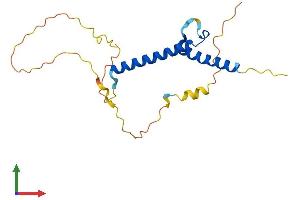 AlphaFold protein structure predicition of Mouse Recombinant Msgn1 Protein, UniprotID Q9JK54
