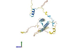 AlphaFold protein structure predicition of Mouse Recombinant Sertad1 Protein, UniprotID Q9JL10